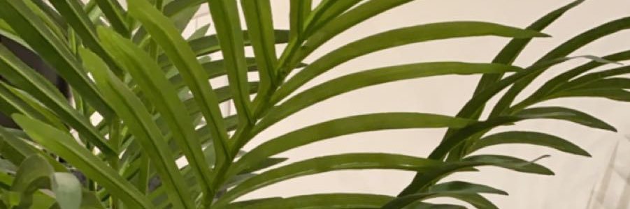 nicmckk's profile banner image