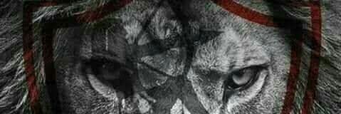 جحا المصري 🏹 banner