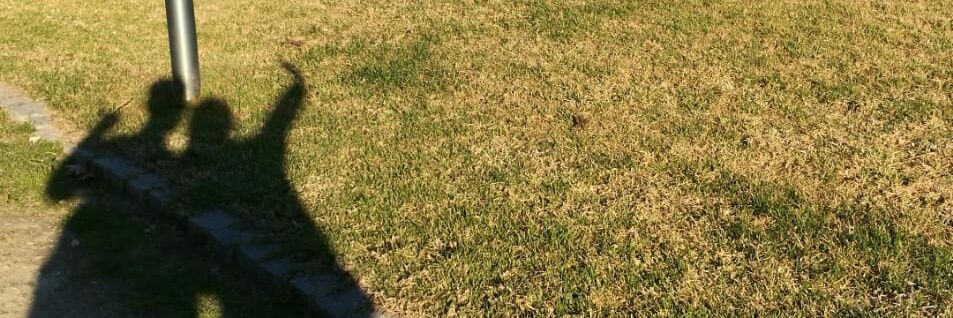 andreaf1337's profile banner image