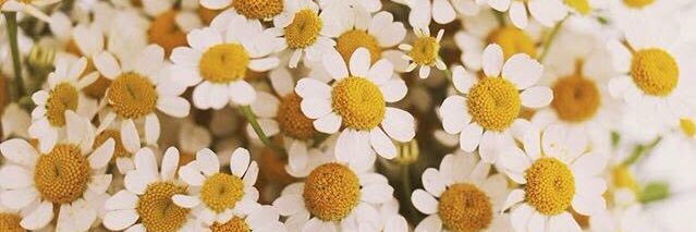 _deeelove's profile banner image
