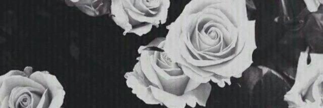 brooklynxbaby's profile banner image