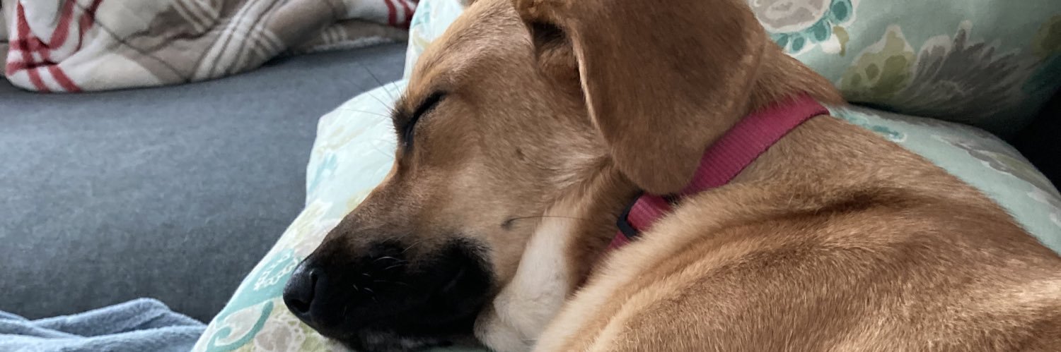 beckaborody's profile banner image
