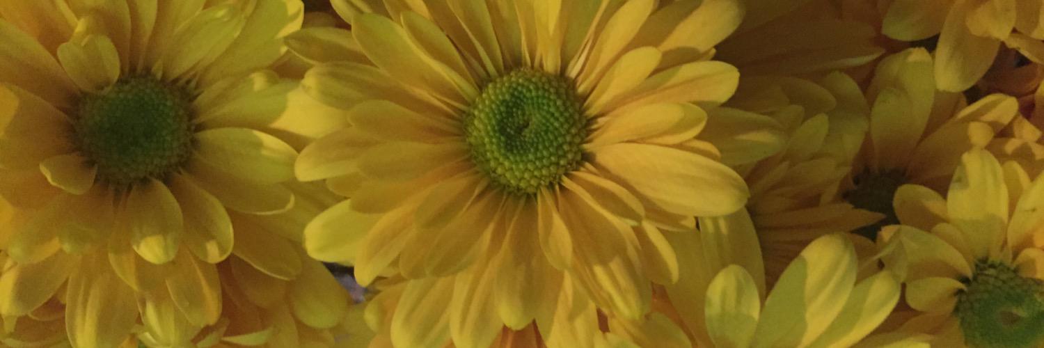 ConnieBowers76's profile banner image