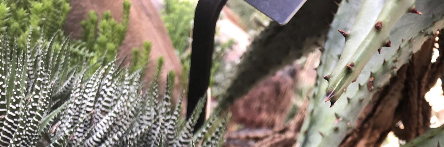 abbey_roxb's profile banner image