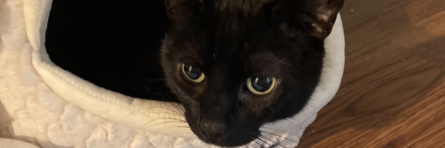 ClebPoti's profile banner image