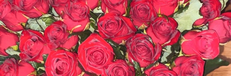 svtkv's profile banner image
