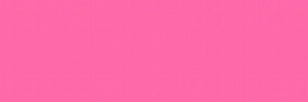 thefemaleboook Profile Banner