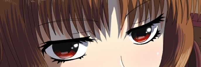 elfenfox's profile banner image