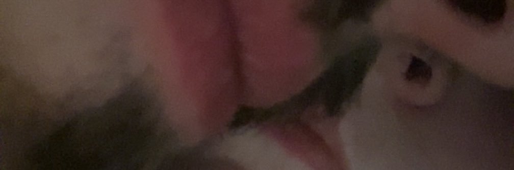_fuckeller's profile banner image