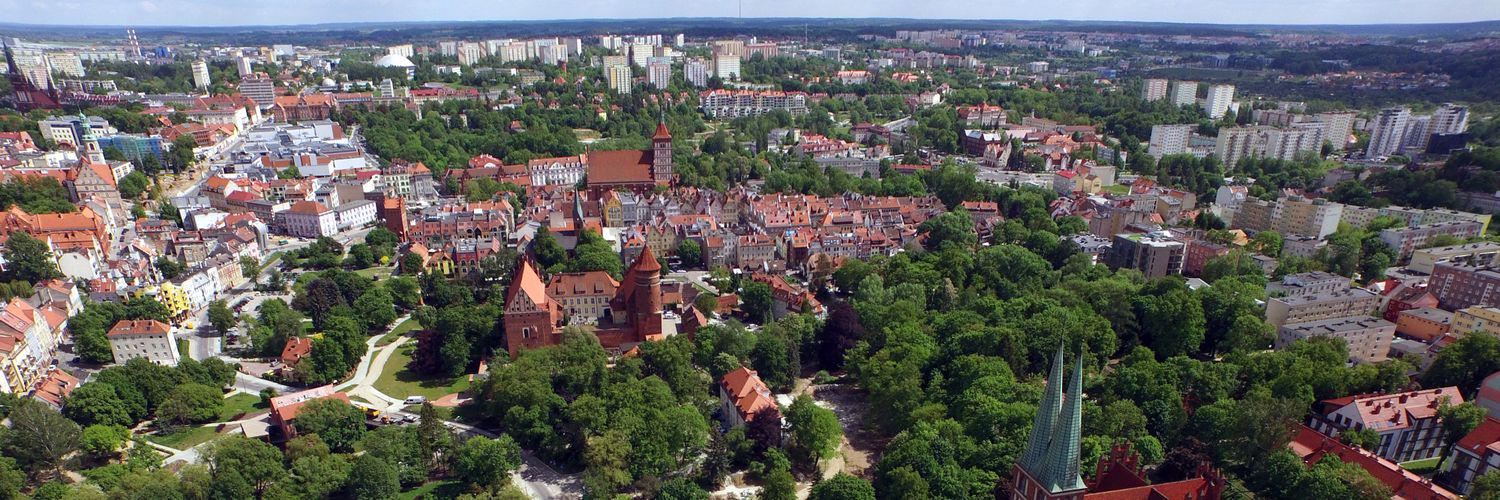 Kamil Rutkowski banner