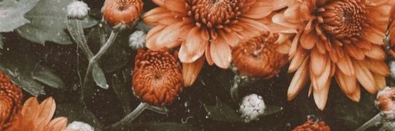 kjmccliment's profile banner image