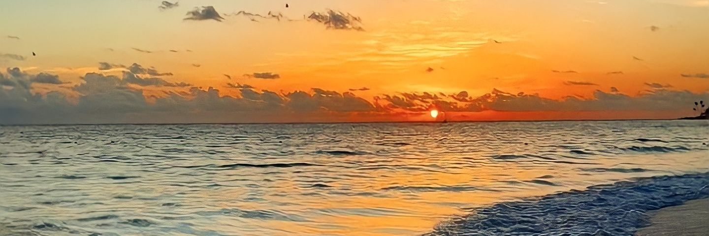 Melissa Contreras. banner