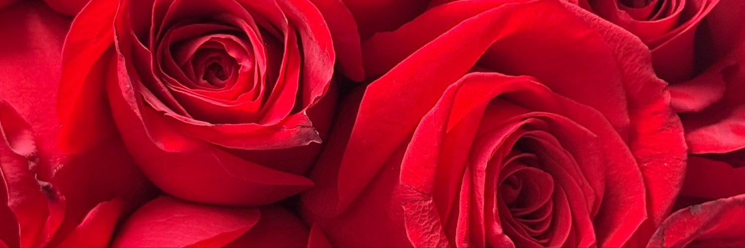 valeriacont's profile banner image
