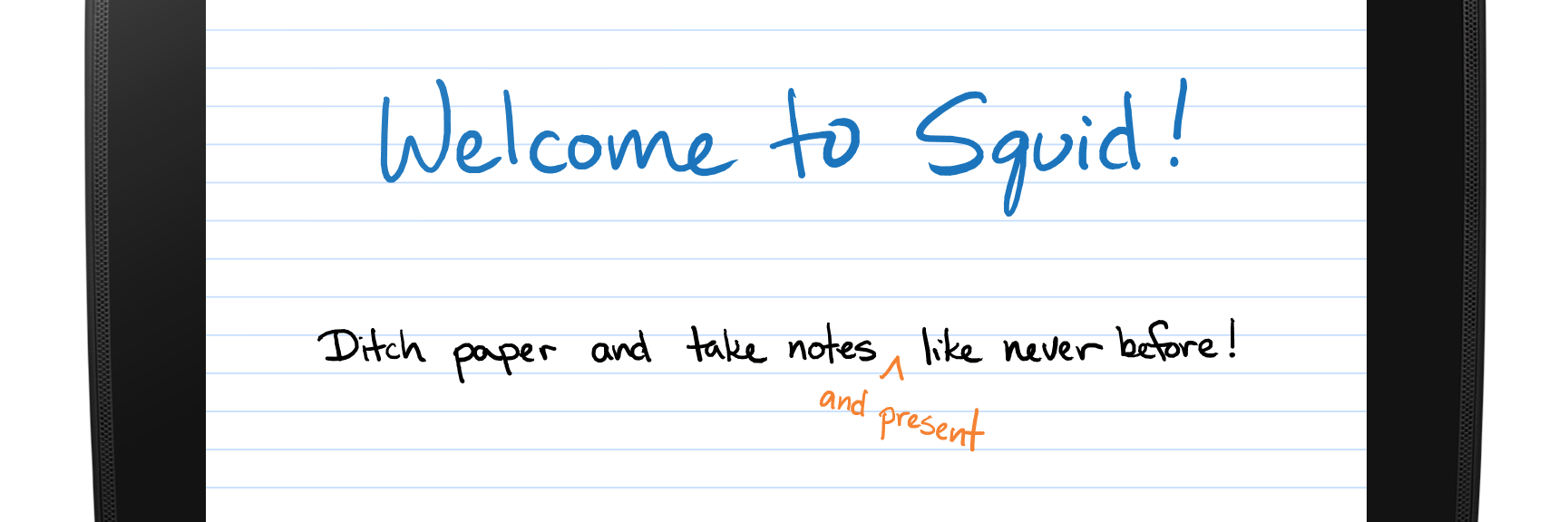 Squid banner