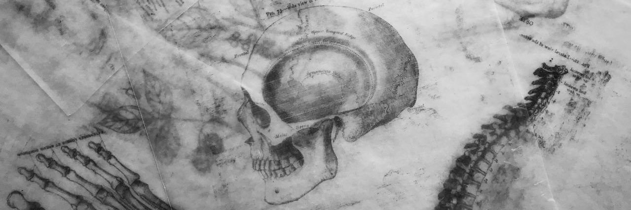 The Alcock Society banner