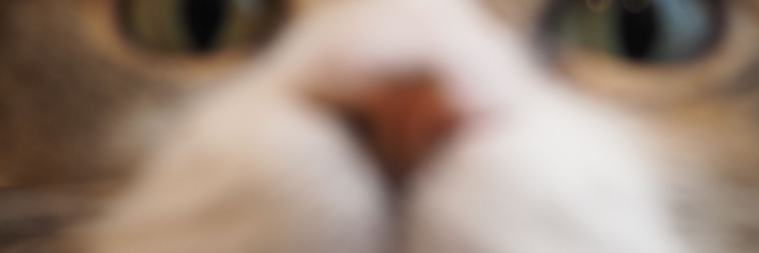thyme0321's profile banner image