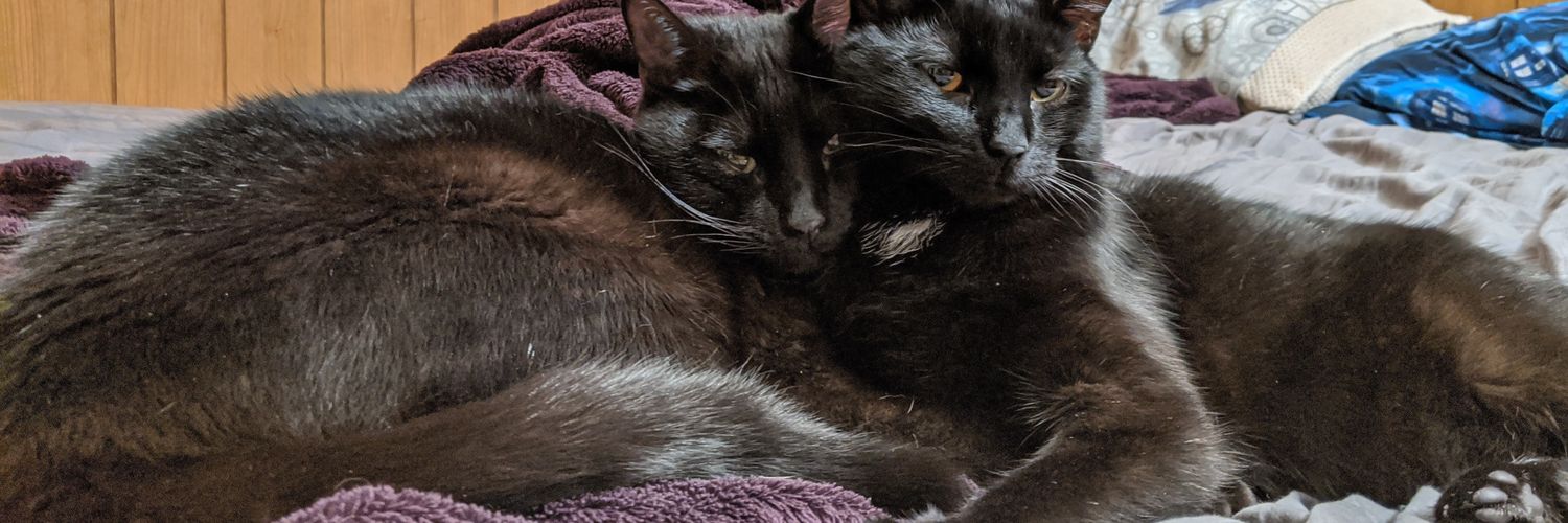 TheKalcifer's profile banner image