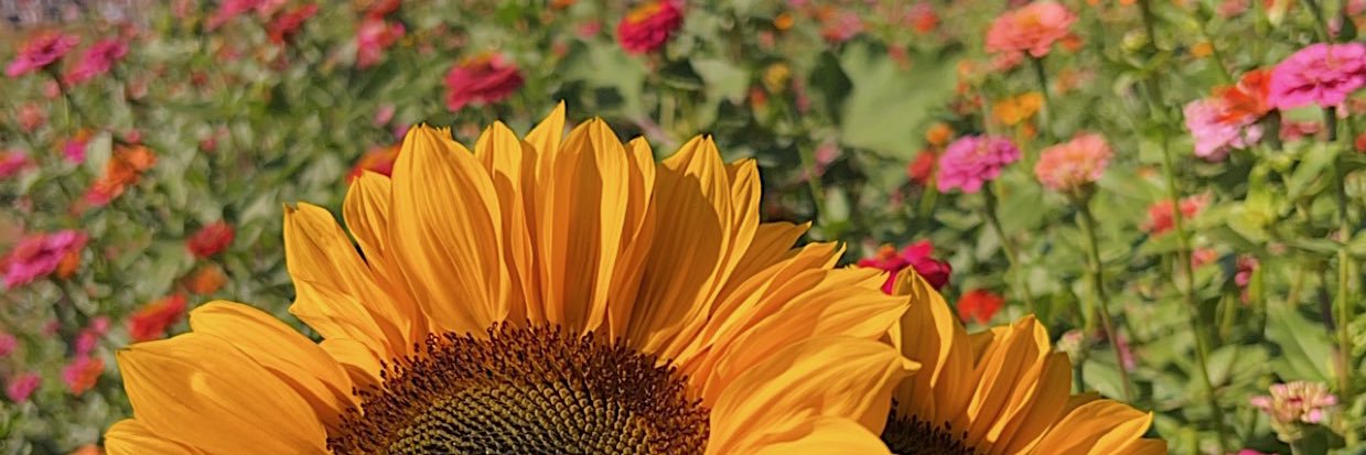 katieannhuff's profile banner image