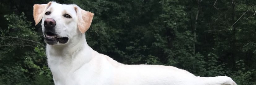 TheOneTheOnlyBG's profile banner image