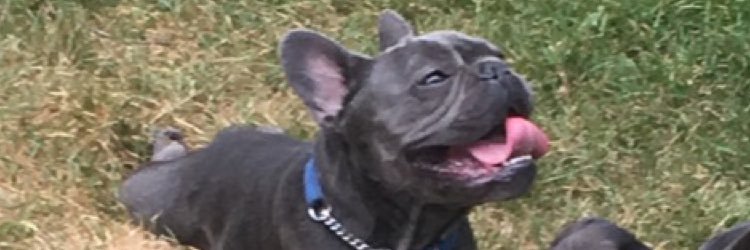 emileighascui's profile banner image