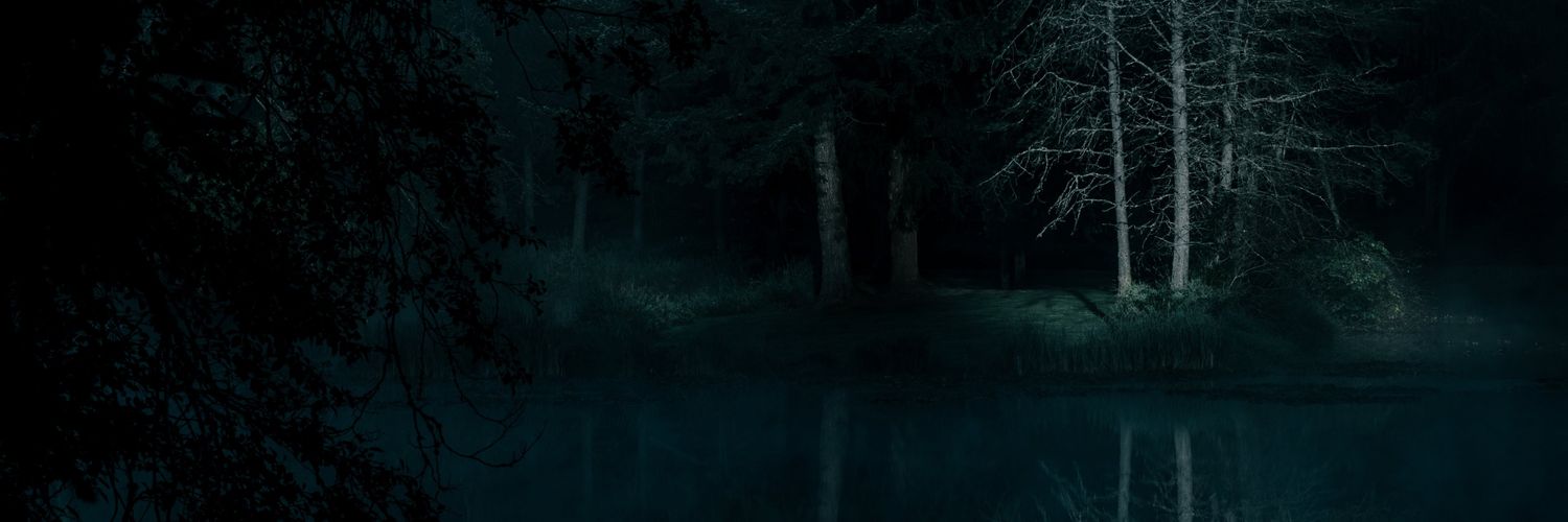 amidswe's profile banner image