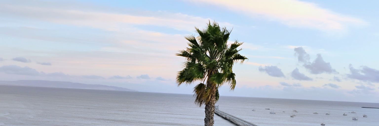 Chipper408's profile banner image