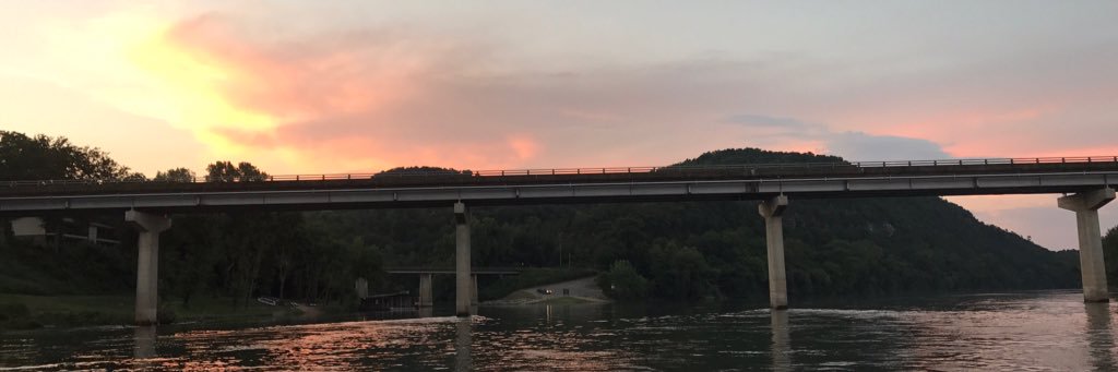 mollyncooper's profile banner image