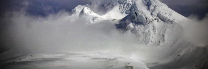 Todd Lewis banner