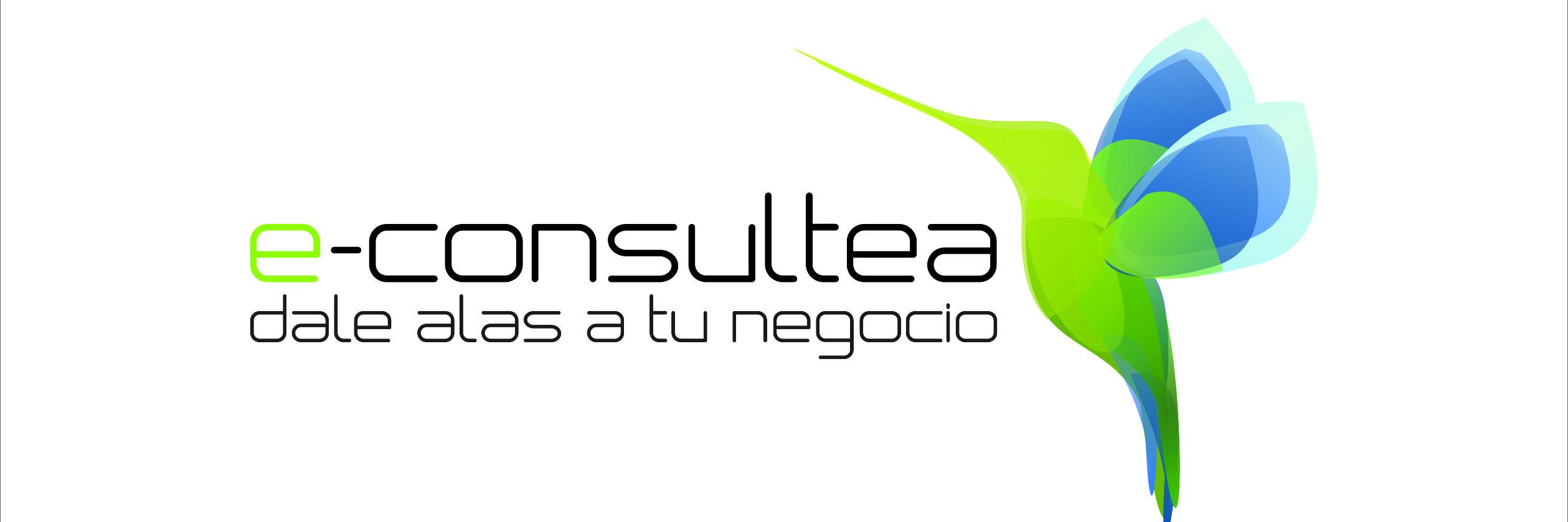 E-CONSULTEA banner