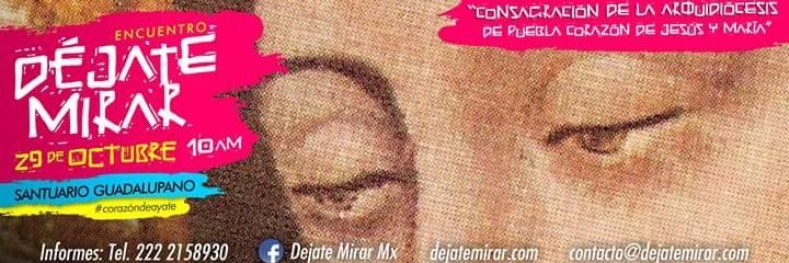 Magnorosario1's profile banner image