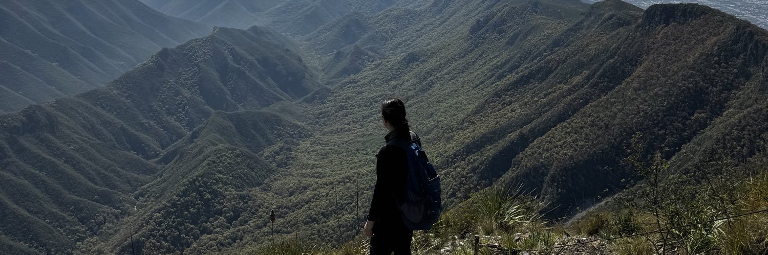 valelunar_'s profile banner image