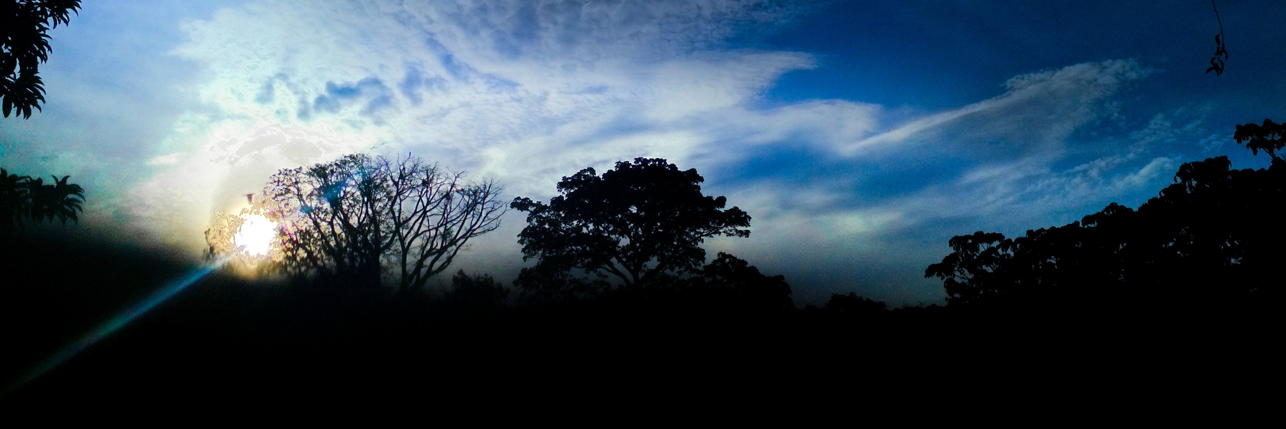 B_Tovar98's profile banner image