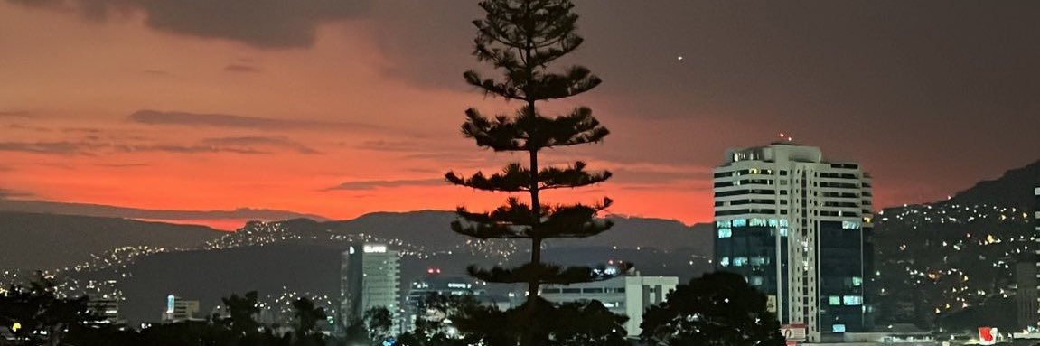 lauraag20's profile banner image