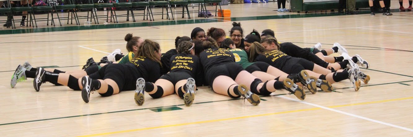 Hamden Volleyball banner