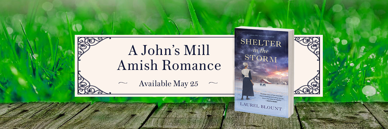 laurelblountbooks banner