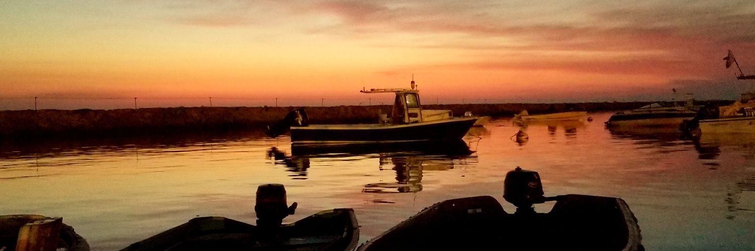 Brian sulfaro banner