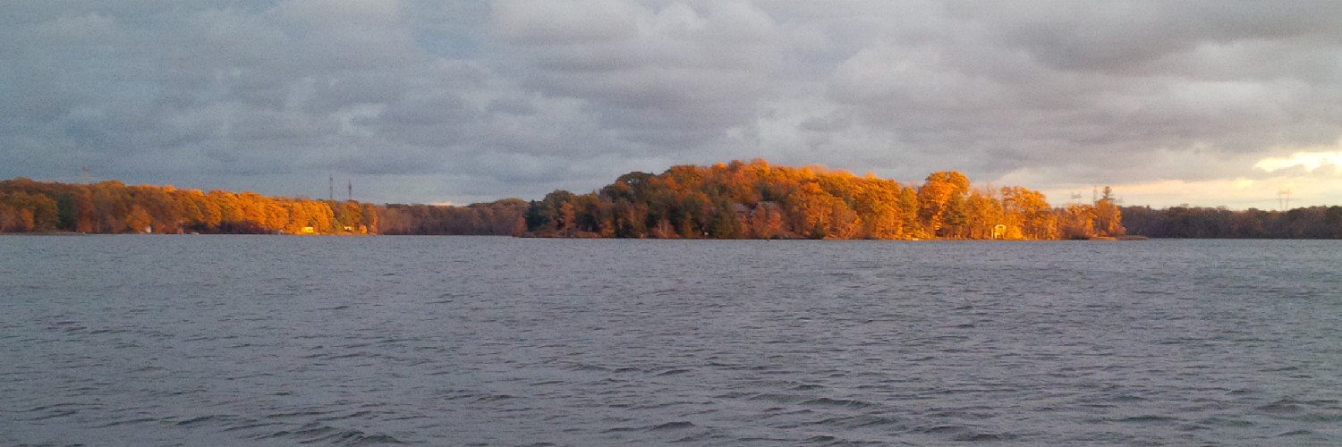 pnaumis's profile banner image