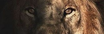 Halil İbrahim Ayaz banner