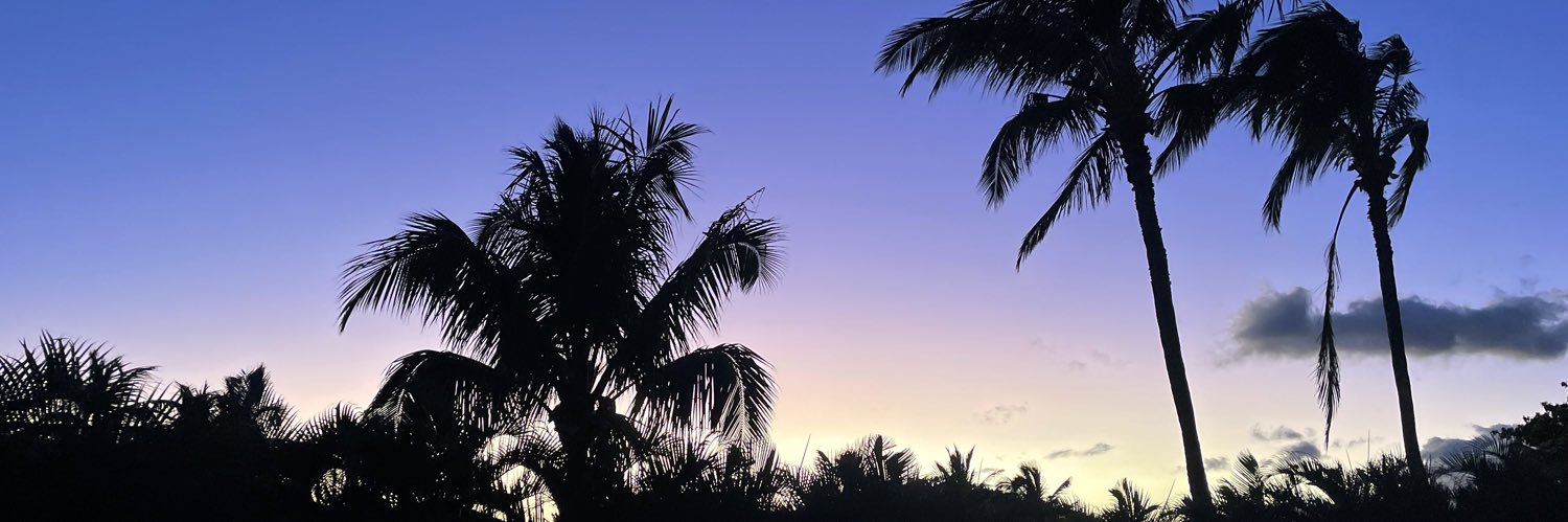 ry🦋 banner