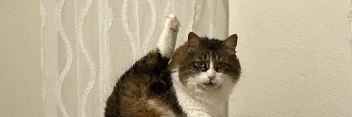 LexyGilman's profile banner image