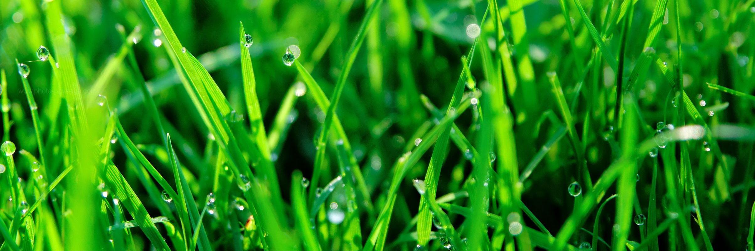 sabilillahfresh's profile banner image