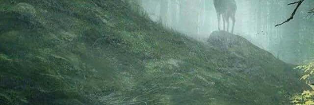 Dax_Gray's profile banner image