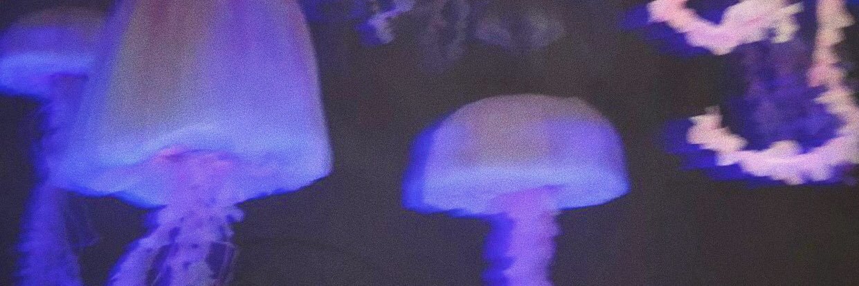 Candemailles's profile banner image