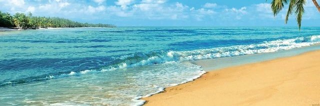 BRAZOBANSOY's profile banner image
