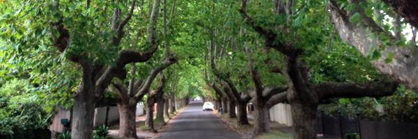 GazEdOz Profile Banner