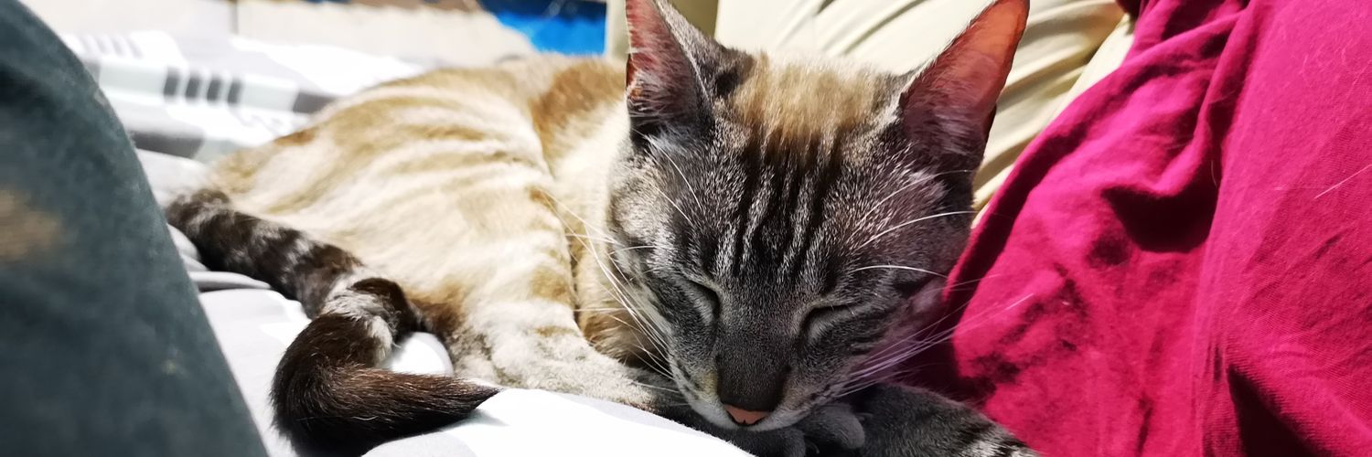 jessiserra's profile banner image