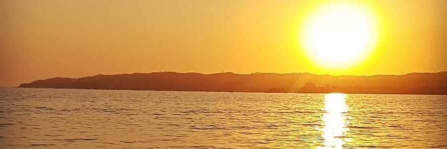 el_adrogm's profile banner image