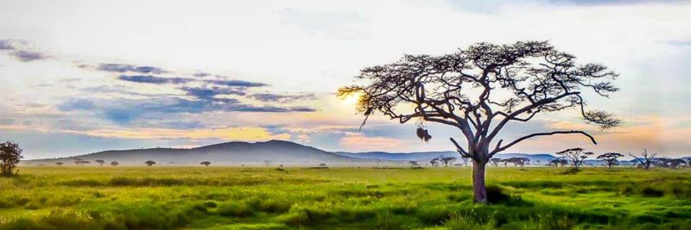 ElenaLappo's profile banner image