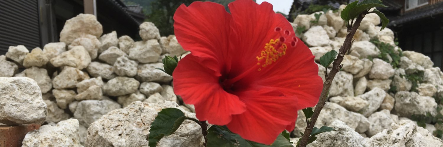 宮崎のSatan banner