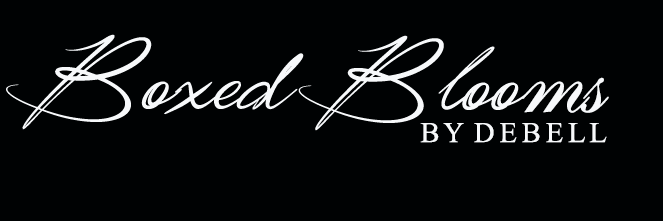 debellflorals's profile banner image